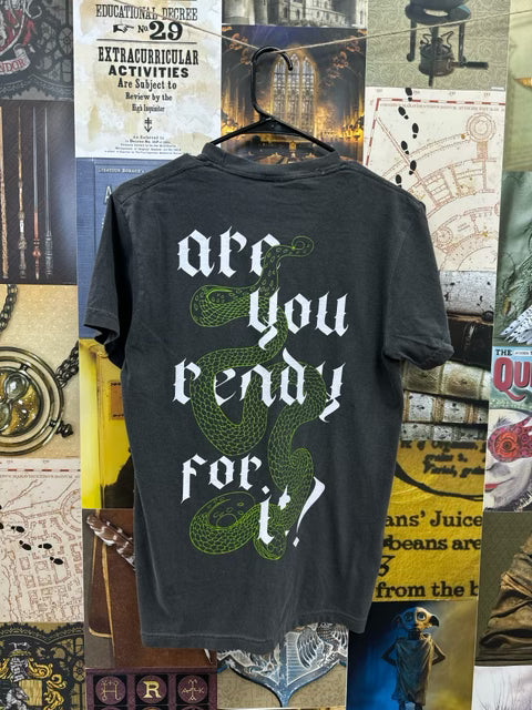 Sample Sale - Are you Ready For It Tee (S)
