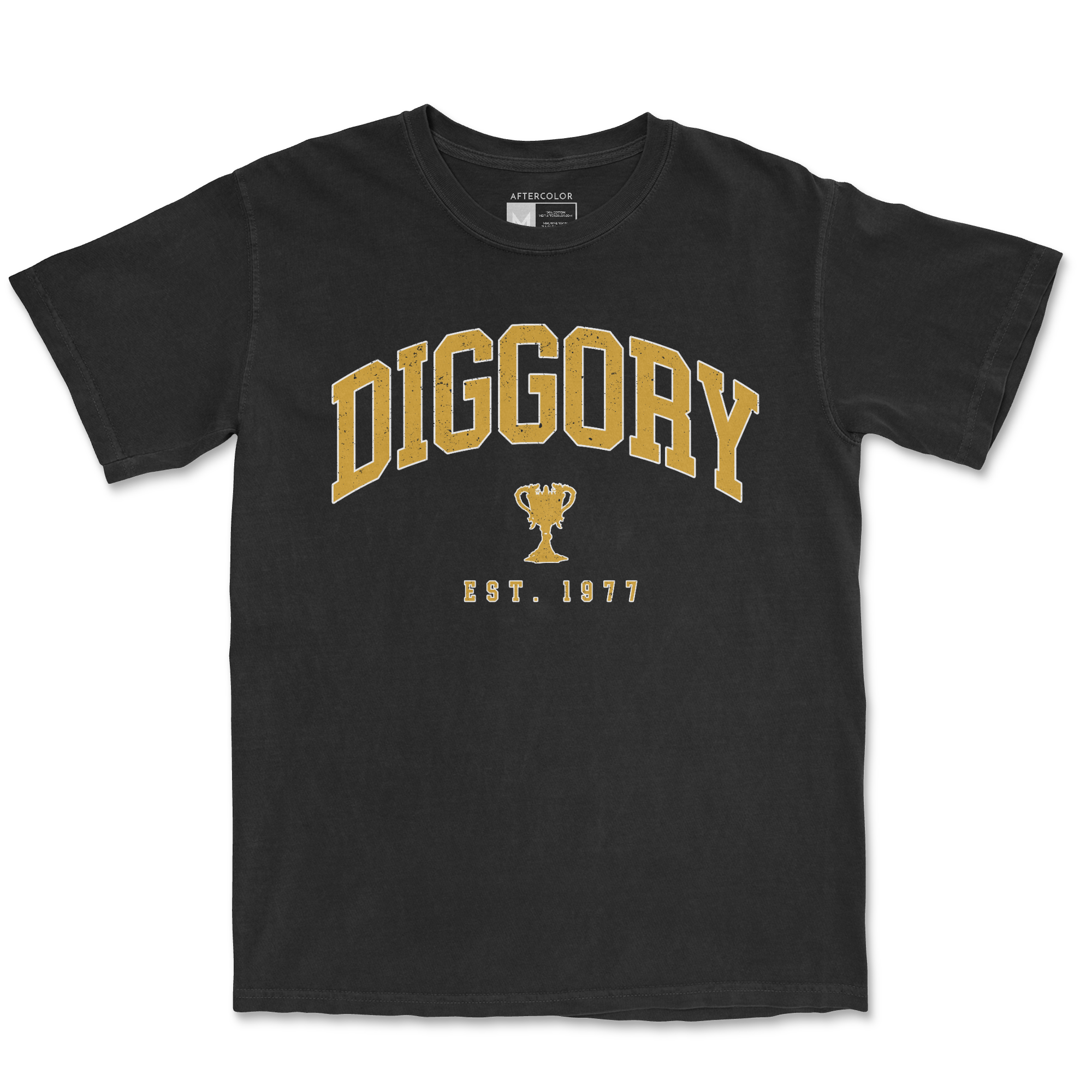 Diggory Surname Garment Dyed Tee