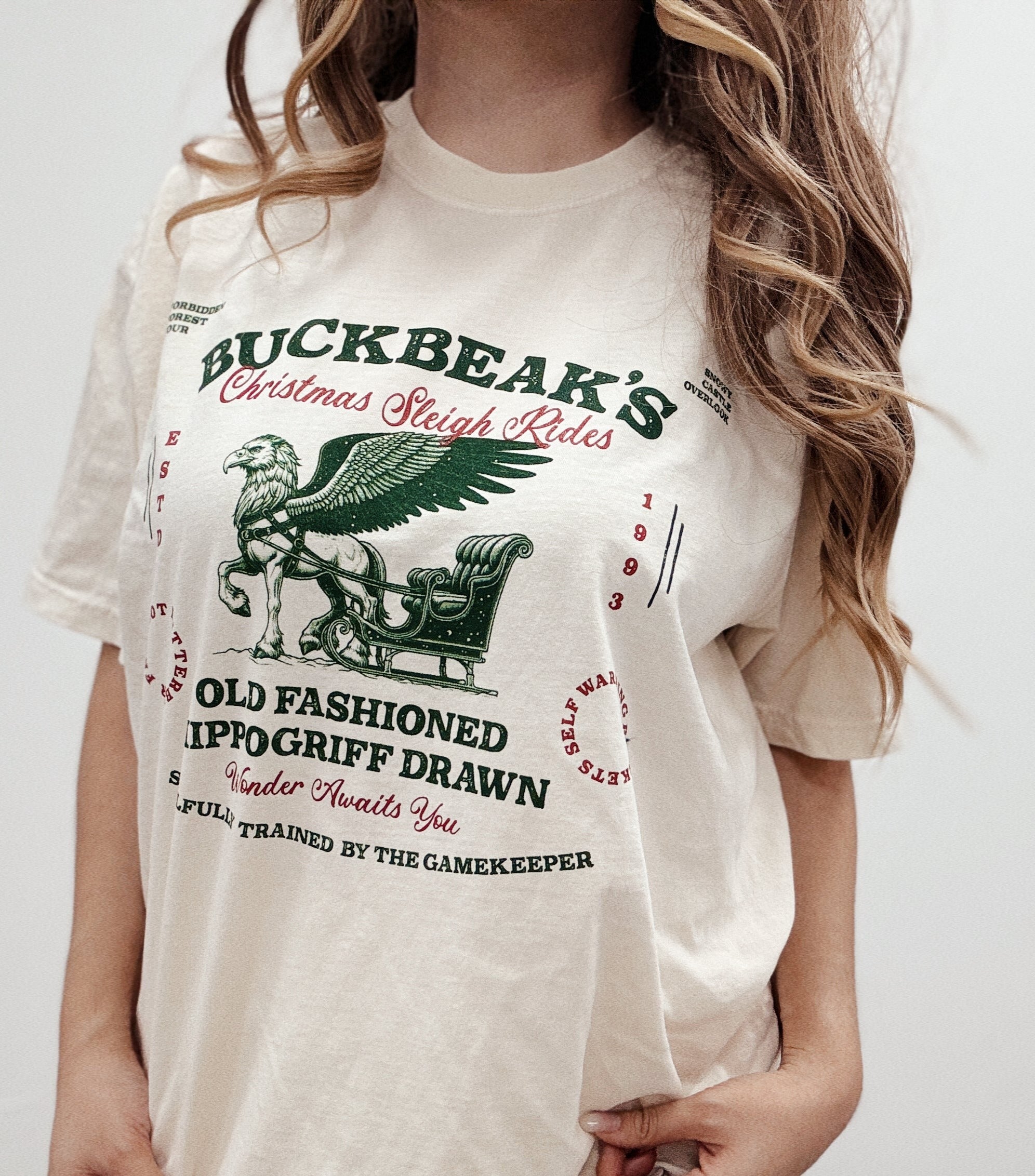 Buckbeak Sleigh Ride Garment Dyed Tee